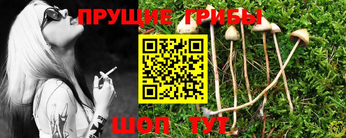 Дубна  Галлюциногенные грибы GOLDEN TEACHER  как найти закладки  Вход с VPN  Галлюциногенные грибы прущие грибы 